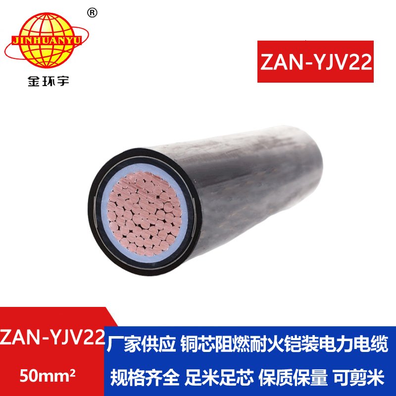 金環宇電纜 阻燃耐火電纜ZAN-YJV22-50平方 yjv22鋼帶