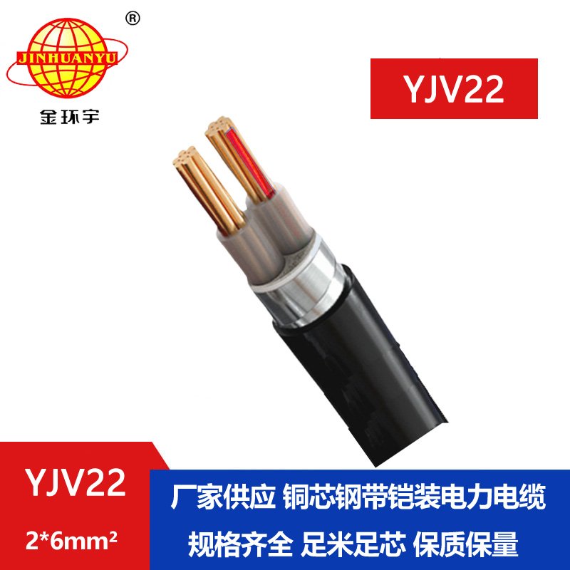 金環宇電線電纜 中低壓鎧裝電力電纜 2芯YJV22 2