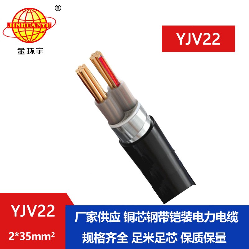 金環(huán)宇電線電纜 低壓電纜 YJV22 2X35平方 銅芯鎧裝